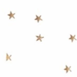 Meet your Posher, Teagan